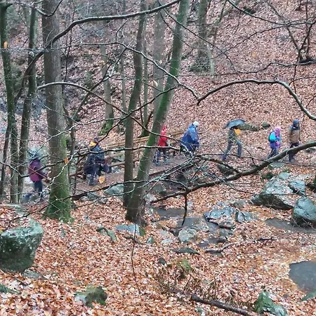 ベッド・アンド・ブレックファスト Bali