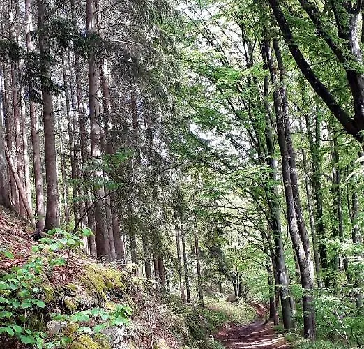 Bali ベッド・アンド・ブレックファスト